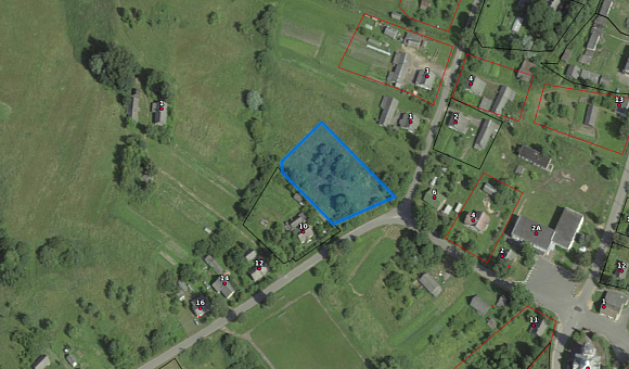 Лот№1. Земельный участок с кадастровым № 220889209601000170 площадью 0,2500 га по адресу: Витебская обл., Браславский р-н, Тетерковский с/с, аг. Иказнь, ул.Школьная, 8